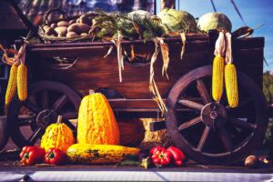 Fall season – What should we eat? + 6 Video Recipe
